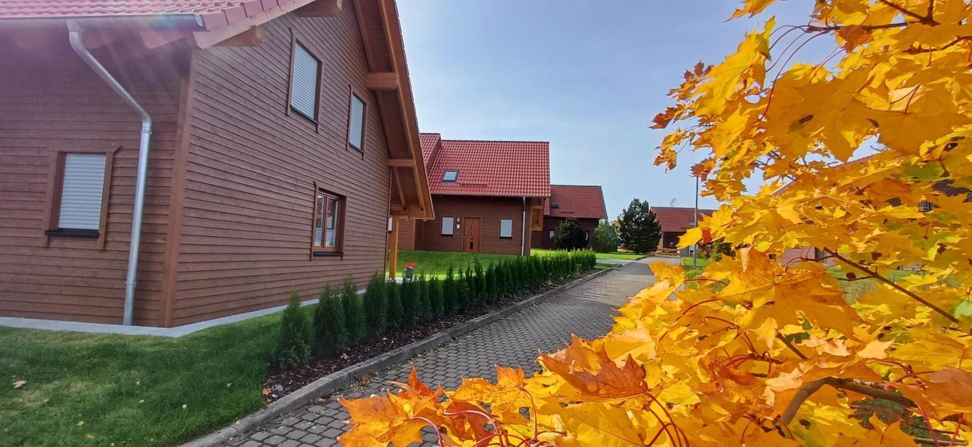 Premiumferienhaus Bhakti Hasselfelde Exteriör bild